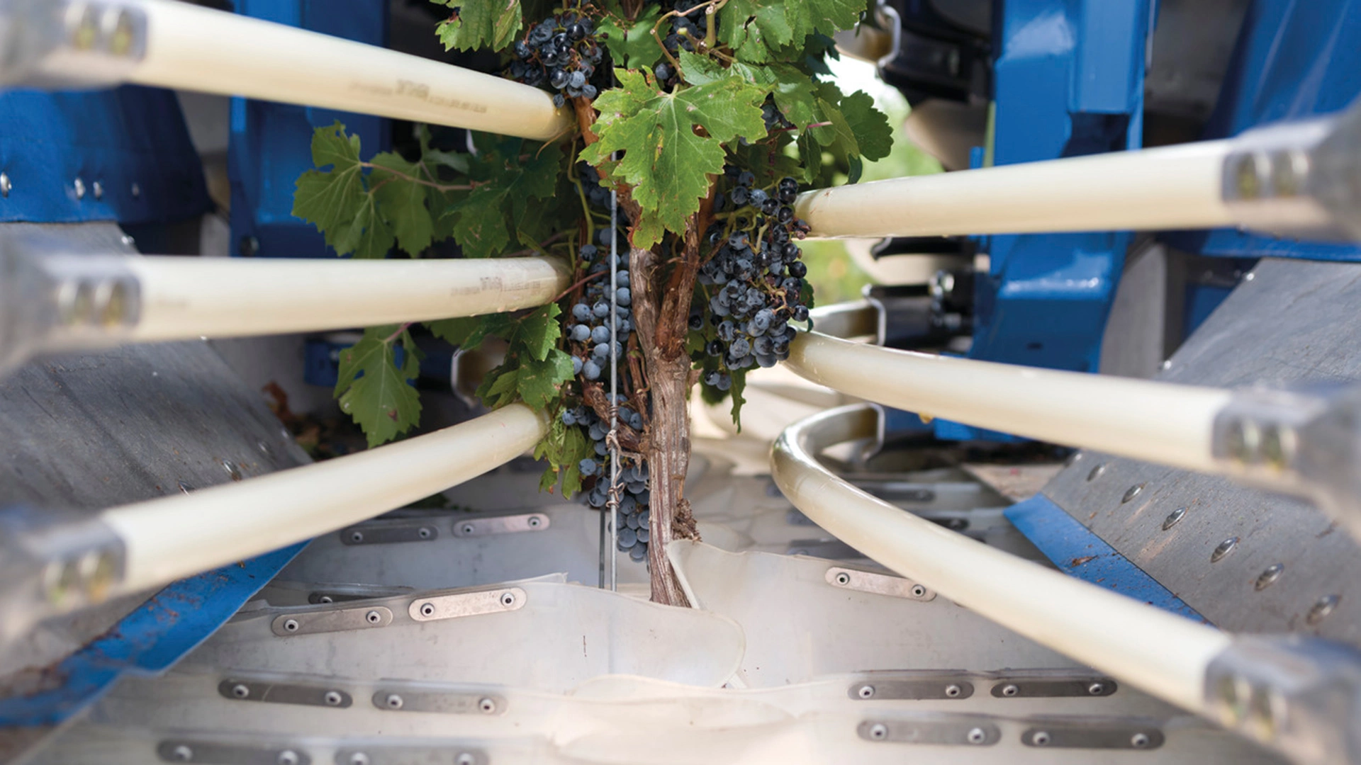 Braud Compact Grape Harvester - Wine Harvester