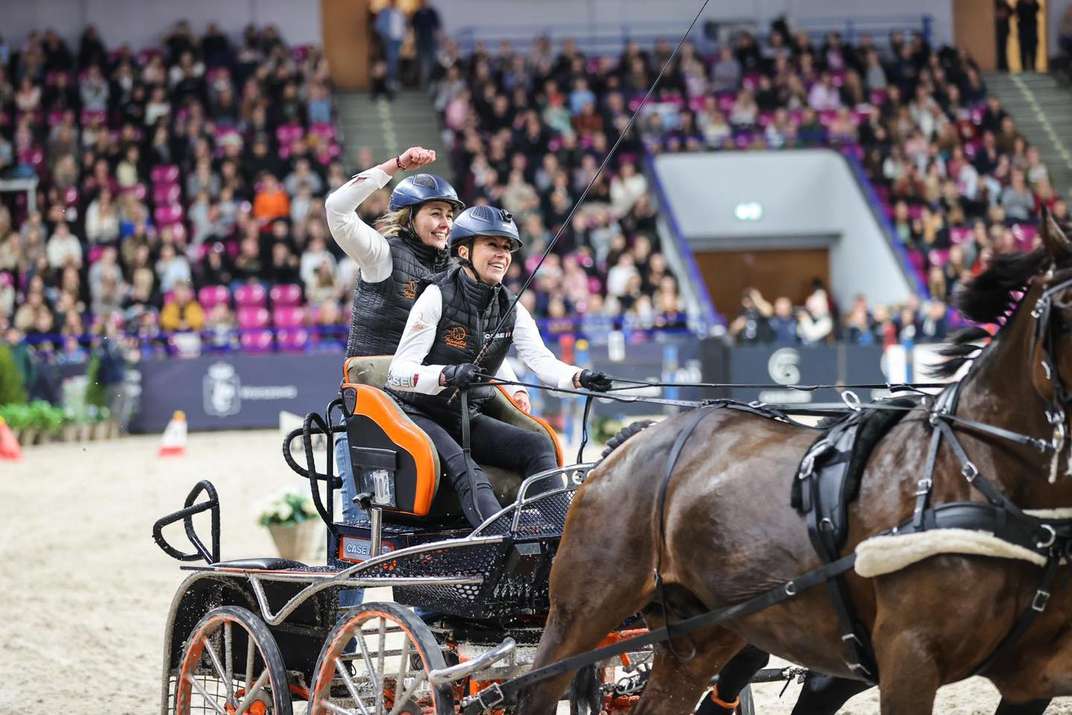 sportowe emecje_horse_02.jpg