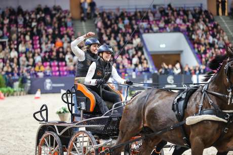 sportowe emecje_horse_02.jpg