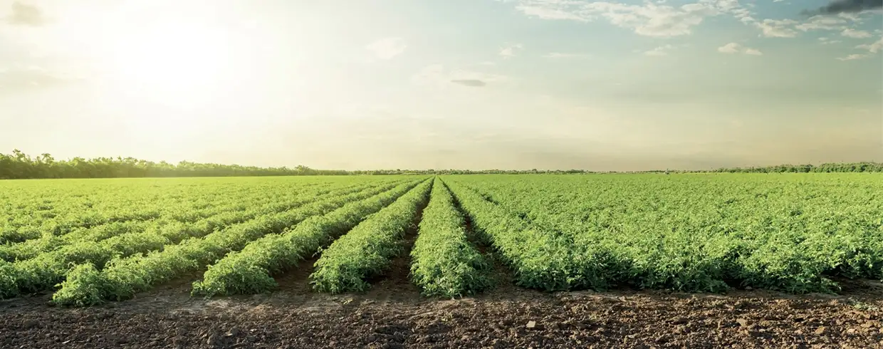 GUIDANCE THAT FITS YOUR FIELD