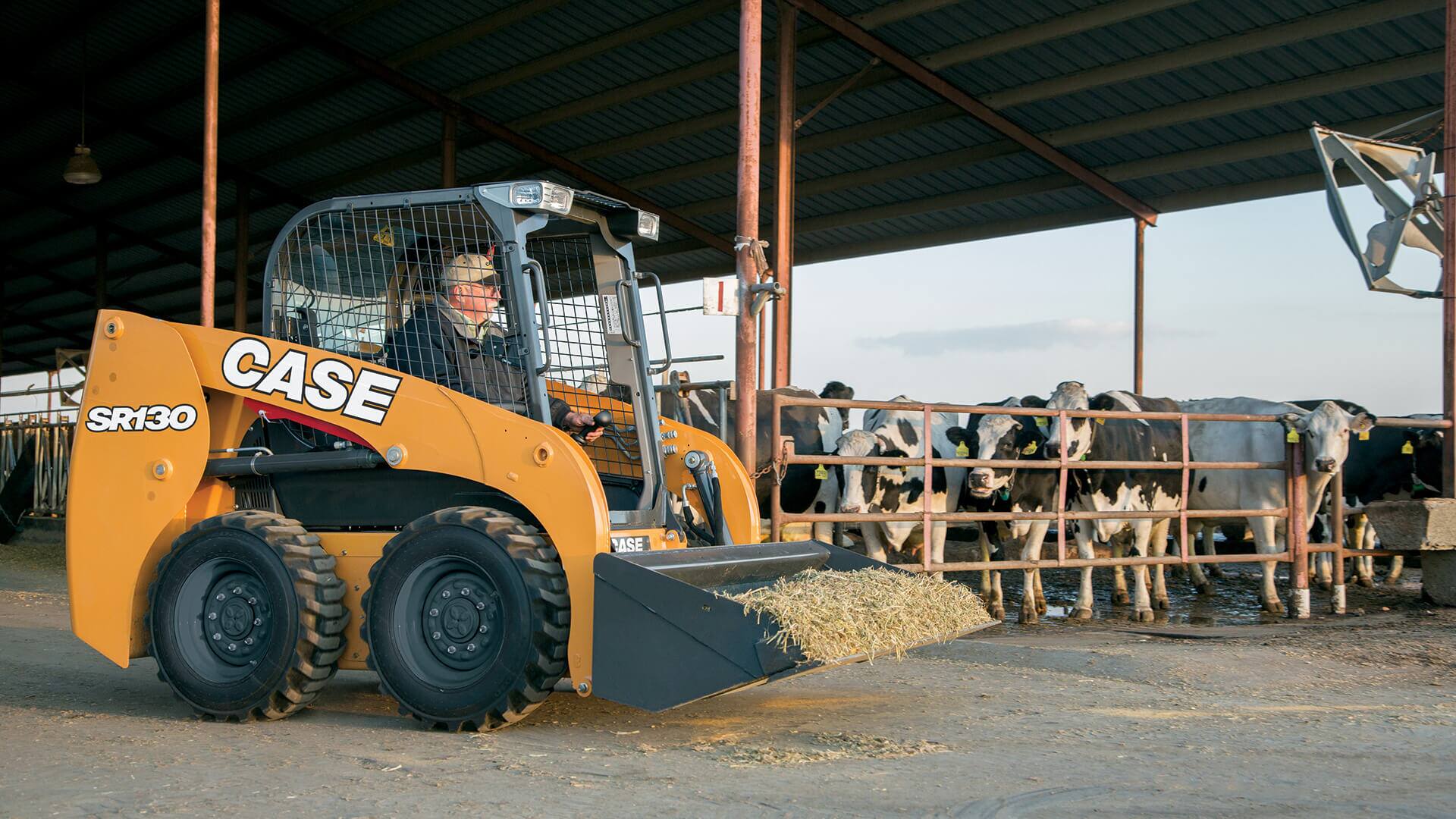CASE SKID STEER LOADERS visual data 6