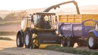 El nuevo pick-up para hierba Ultrafeed™ maximiza la capacidad potencial de las picadoras de forraje New Holland FR