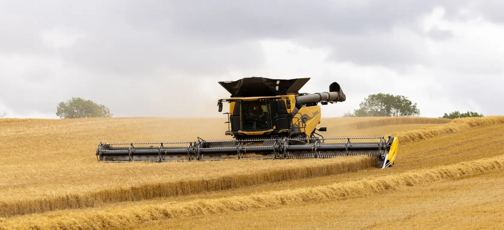 New Holland Twin Rotor® combine with MacDon FlexDraper® Header