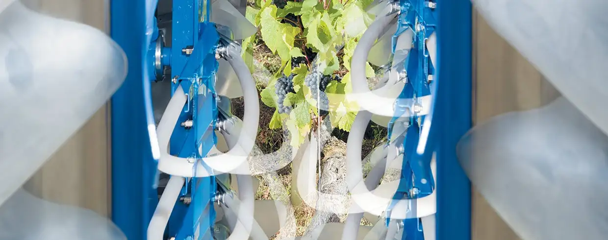 ADN BRAUD: L’EXPERTISE EST DANS NOS GENES