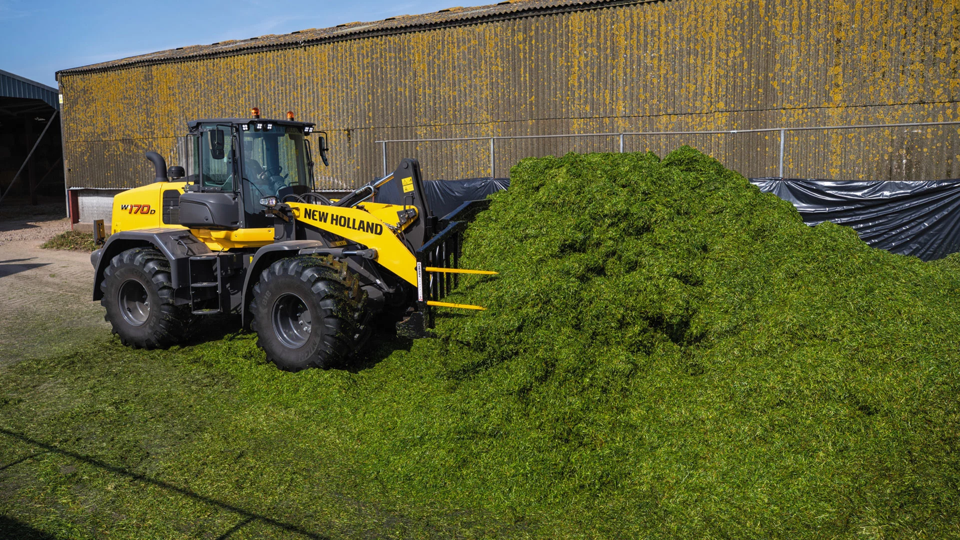 New Holland W170D wheel loader in action with a fork, lifting fresh green silage.