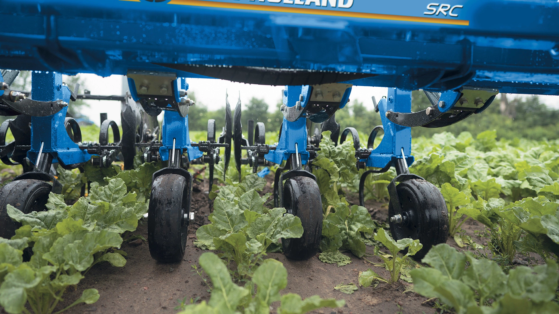 Utilizing Interrow Cultivators for sustainable weed control and soil cultivation in the field