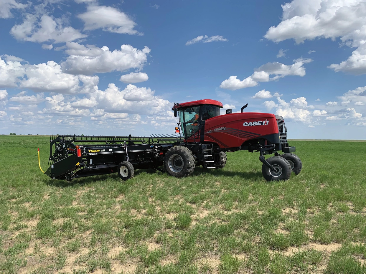 wd2105 windrower with WSC  header in field