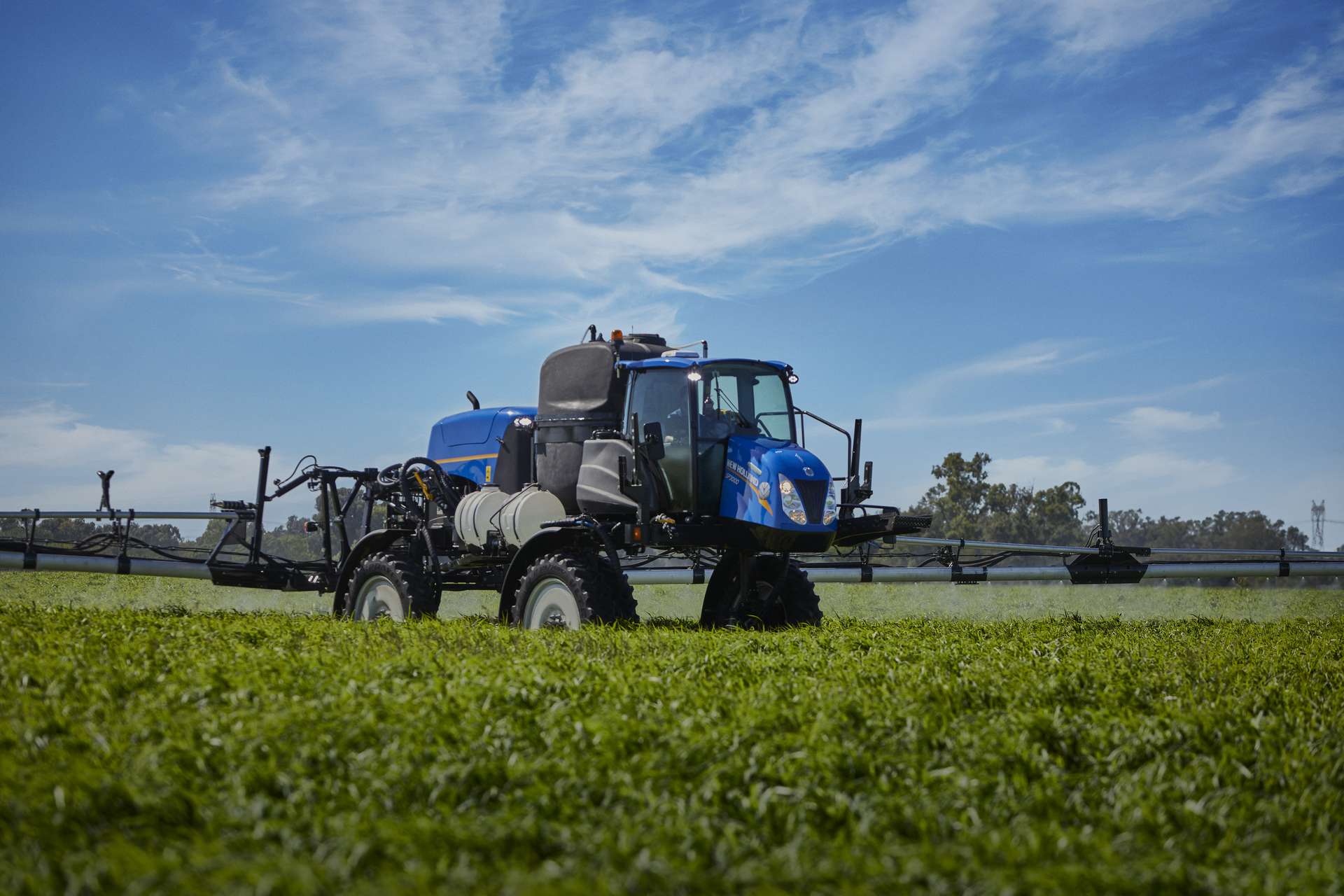 galeria defensor  (2).jpg