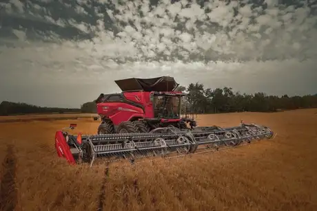 AAF11 combine in field with fd250 head