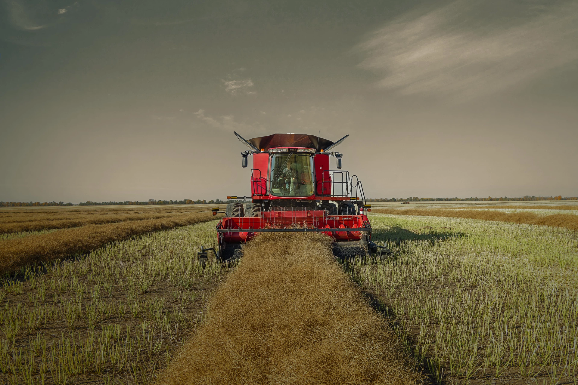 A Case IH pickup head