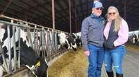 A man and a woman stand together with rows of cows on either side.