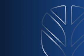 New Holland Agriculture