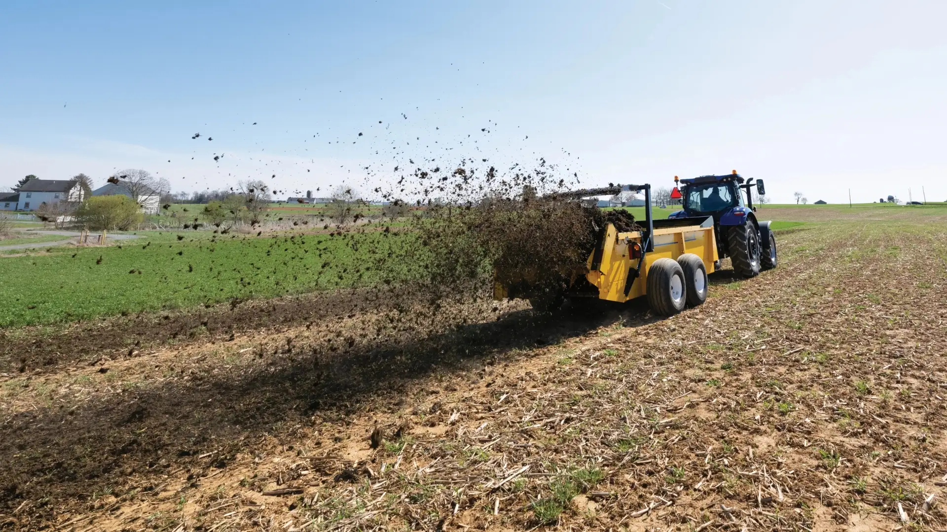 Manure spread by a yellow box spreader in a field.