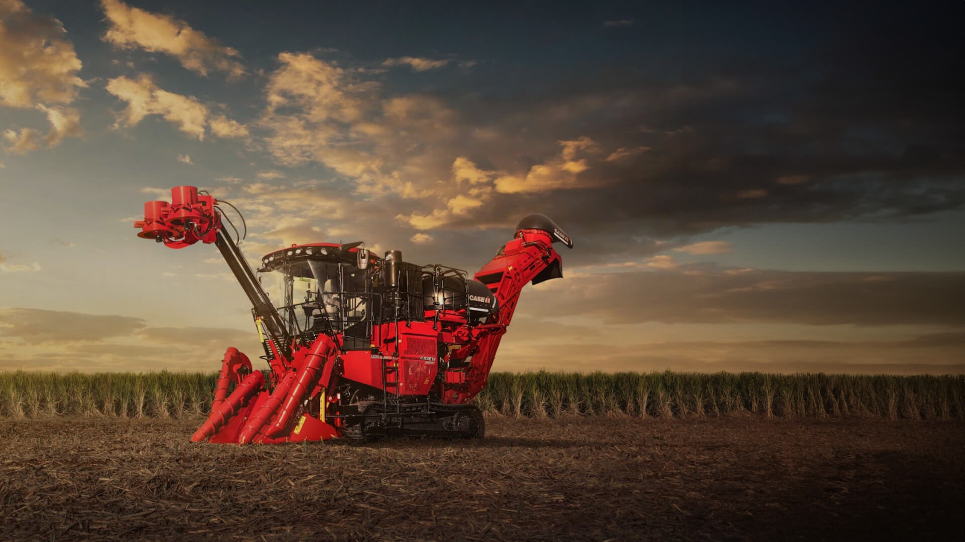 Red Case IH Sugarcane Harvester sitting in field 