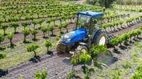 New Holland renueva su oferta de tractores especiales líder del sector con las nuevas series T4 F/N/V, TK4 y T4F S. T4.120 F es best of specialized en tractor of the year 2023