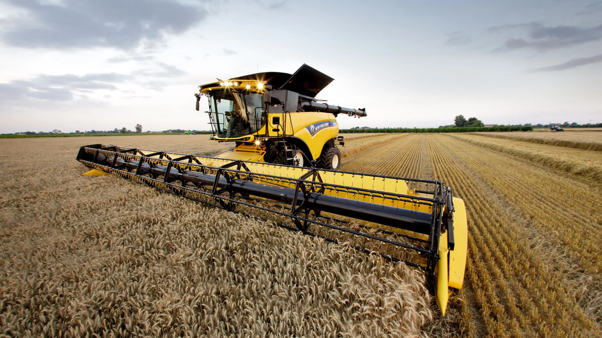 New Holland combines in action, efficiently harvesting crops with their robust Superflex Grain Header