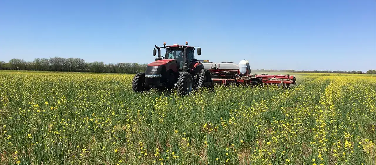 2140 Cover Crop_Sharpened