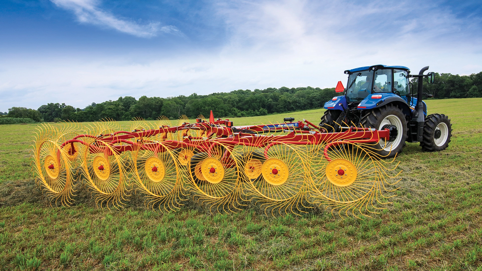 Wheel Rakes: Procart & Procart Plus | New Holland ME