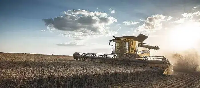 cr-revelation-grain-headers-01a