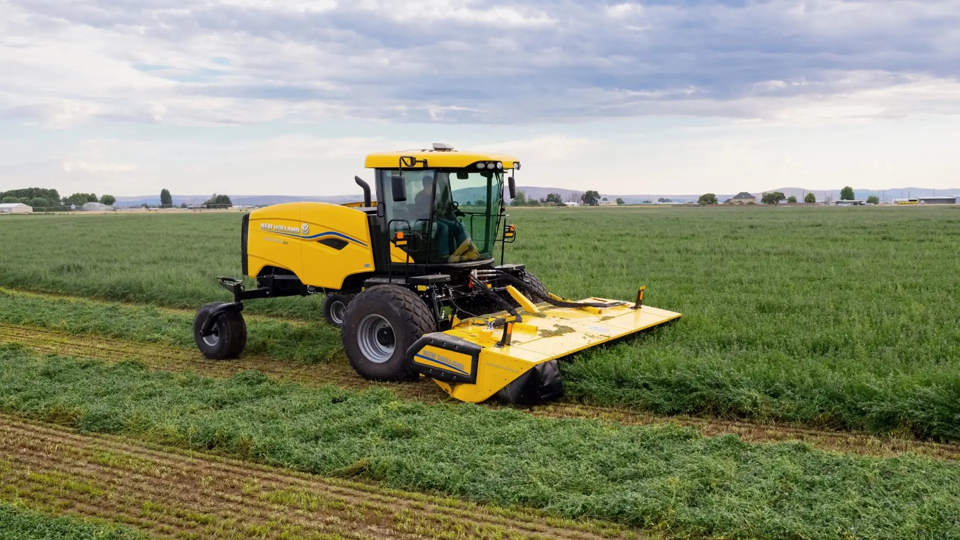 Windrower cutting in a field.