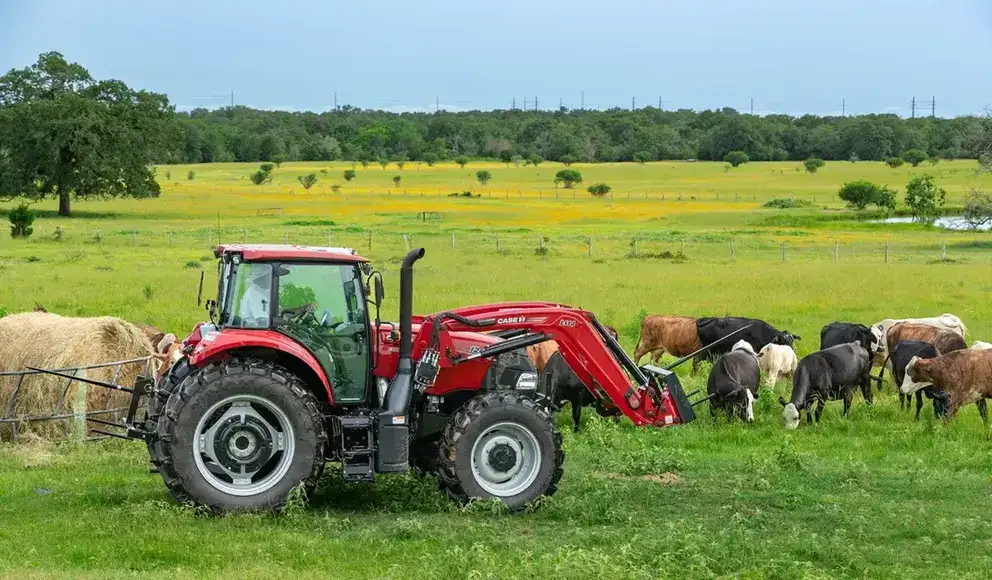 A Case IH tractor is parked on a lush green farm field beside hay bales, with grazing cows nearby.