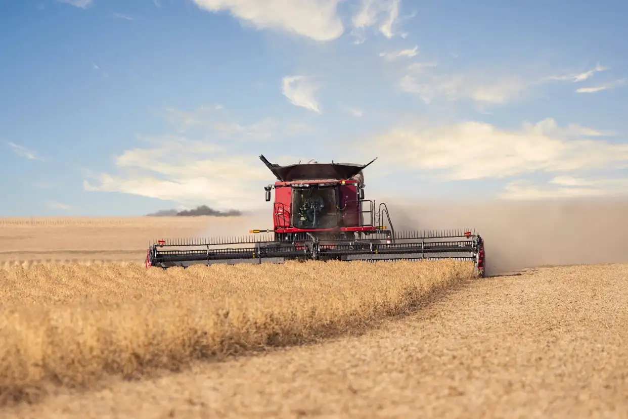 A Case IH combine harvester moves through a golden wheat field under a clear blue sky.
