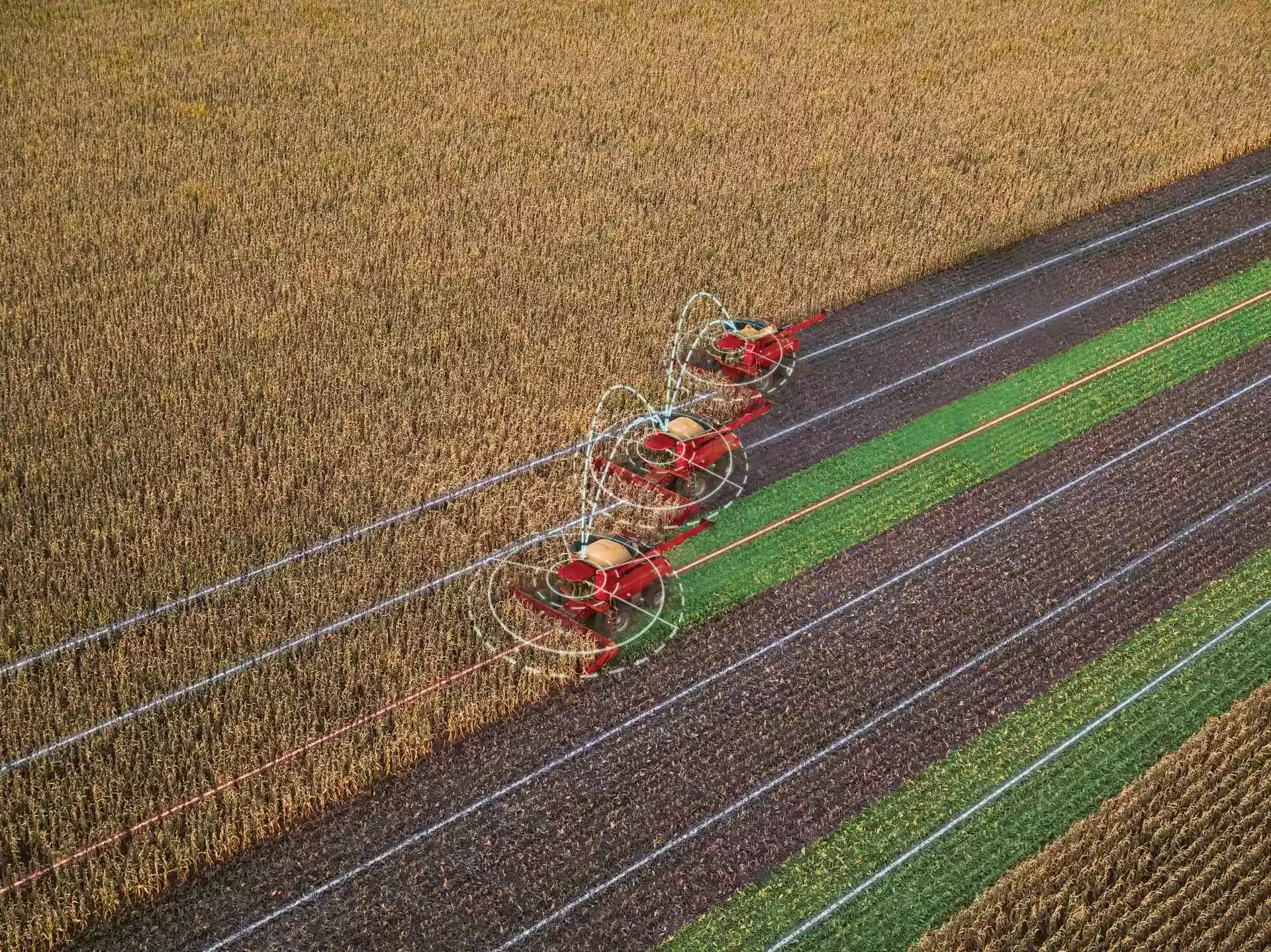 Three Axial-flow combines in field 