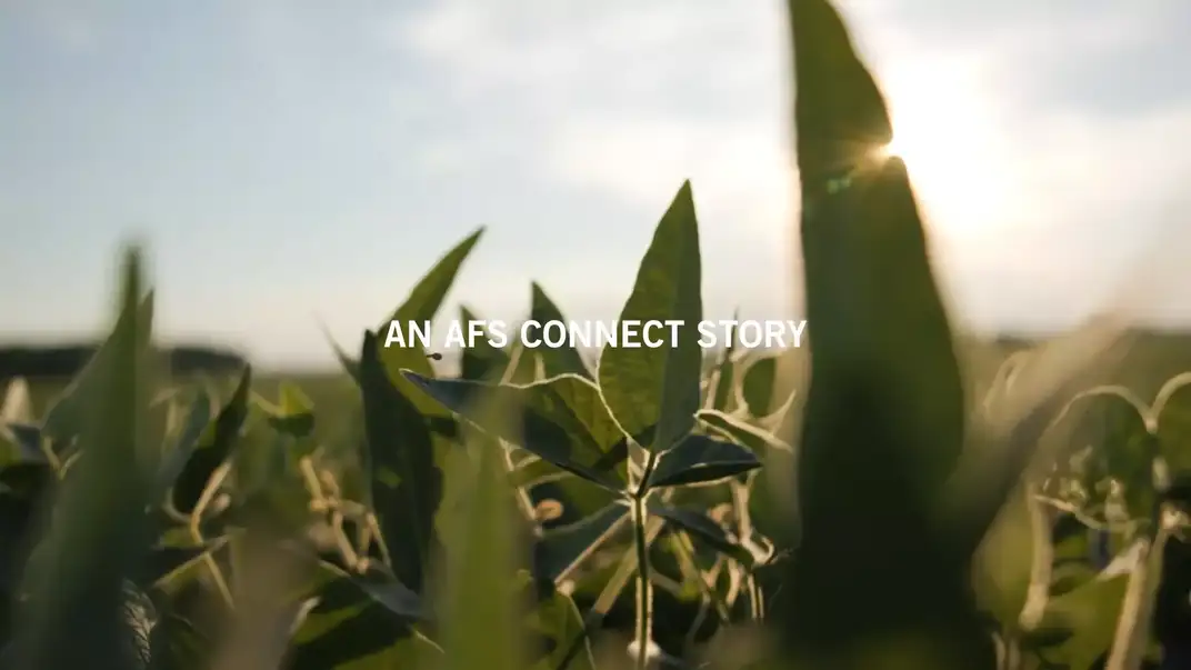 Image of soybean plant with AFS Connect Story title