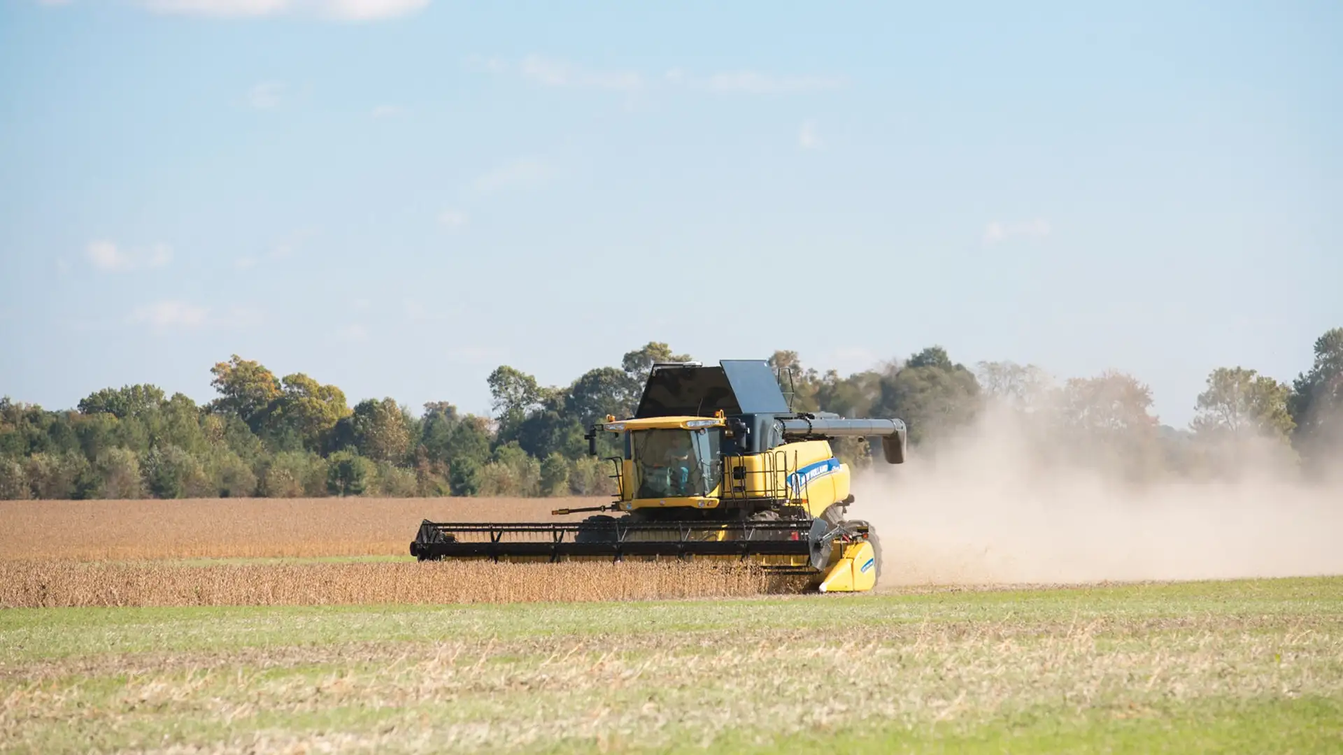 New Holland's machinery at work: combines with Superflex Grain Header streamlining the harvest process