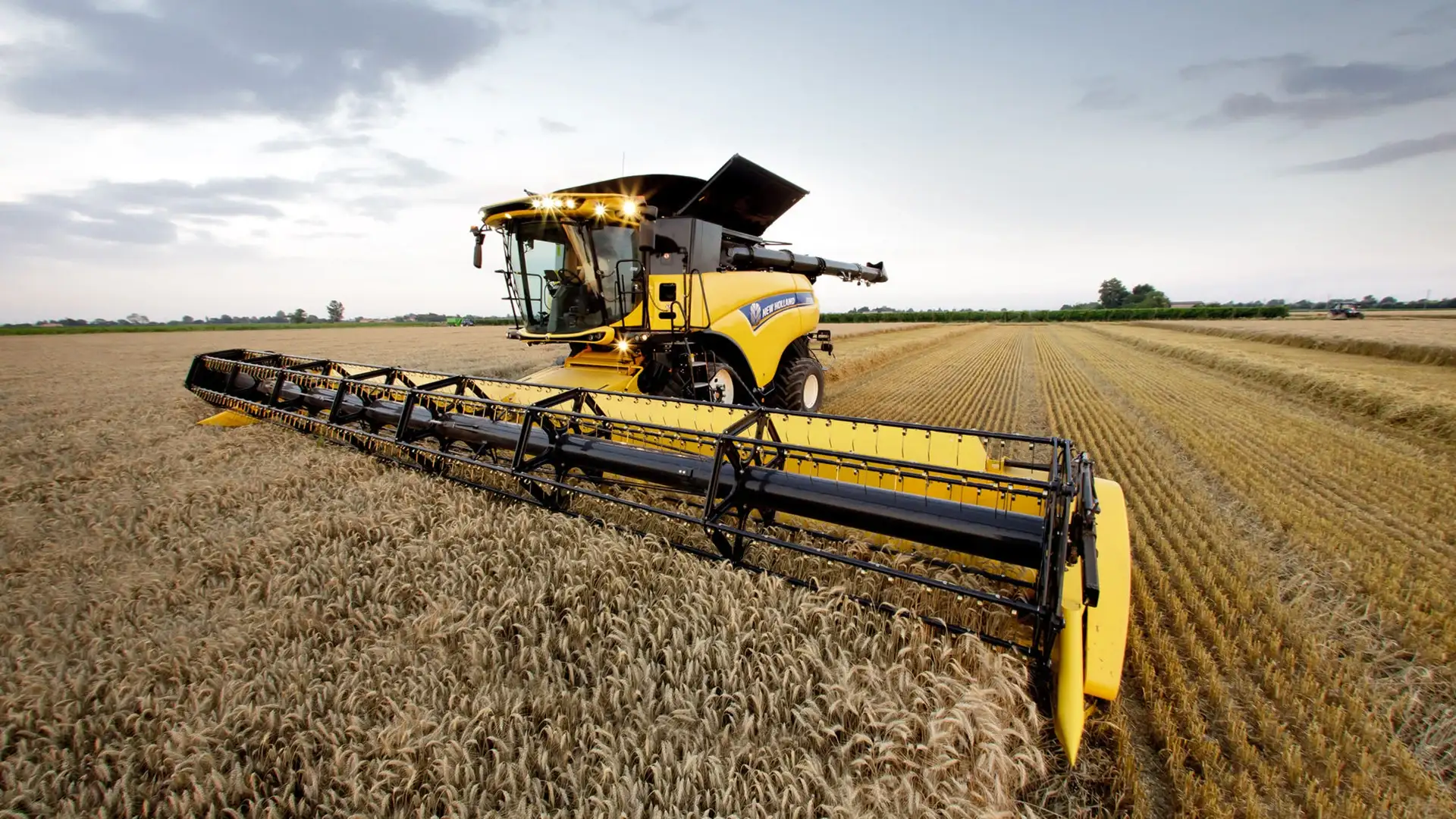 Varifeed Grain Header