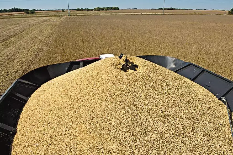 Soybeans_GIC-0549_10-13 R2