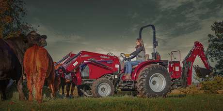 A woman operates a Case IH Farmall tractor equipped with a front loader and a backhoe attachment in a farm setting next to several feeding cattle.