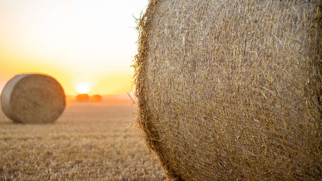 Roll-Belt™ 180 PLUS und 150 PLUS: neue variable Rundballenpressen mit klarem Fokus auf fortschrittliche Telemetrieoptionen, Konnektivität und Langlebigkeit - sowie das neue Nature's Net Wrap, einem kompostierbaren Ballennetz