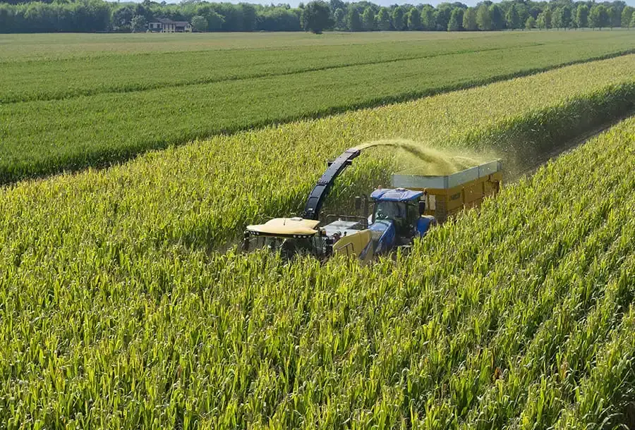 fr-forage-cruiser-gallery-05