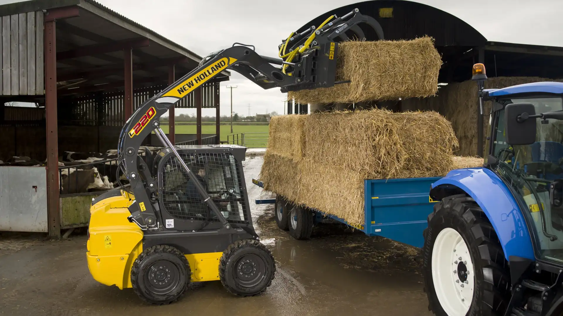 skid-steer-loaders-gallery-01