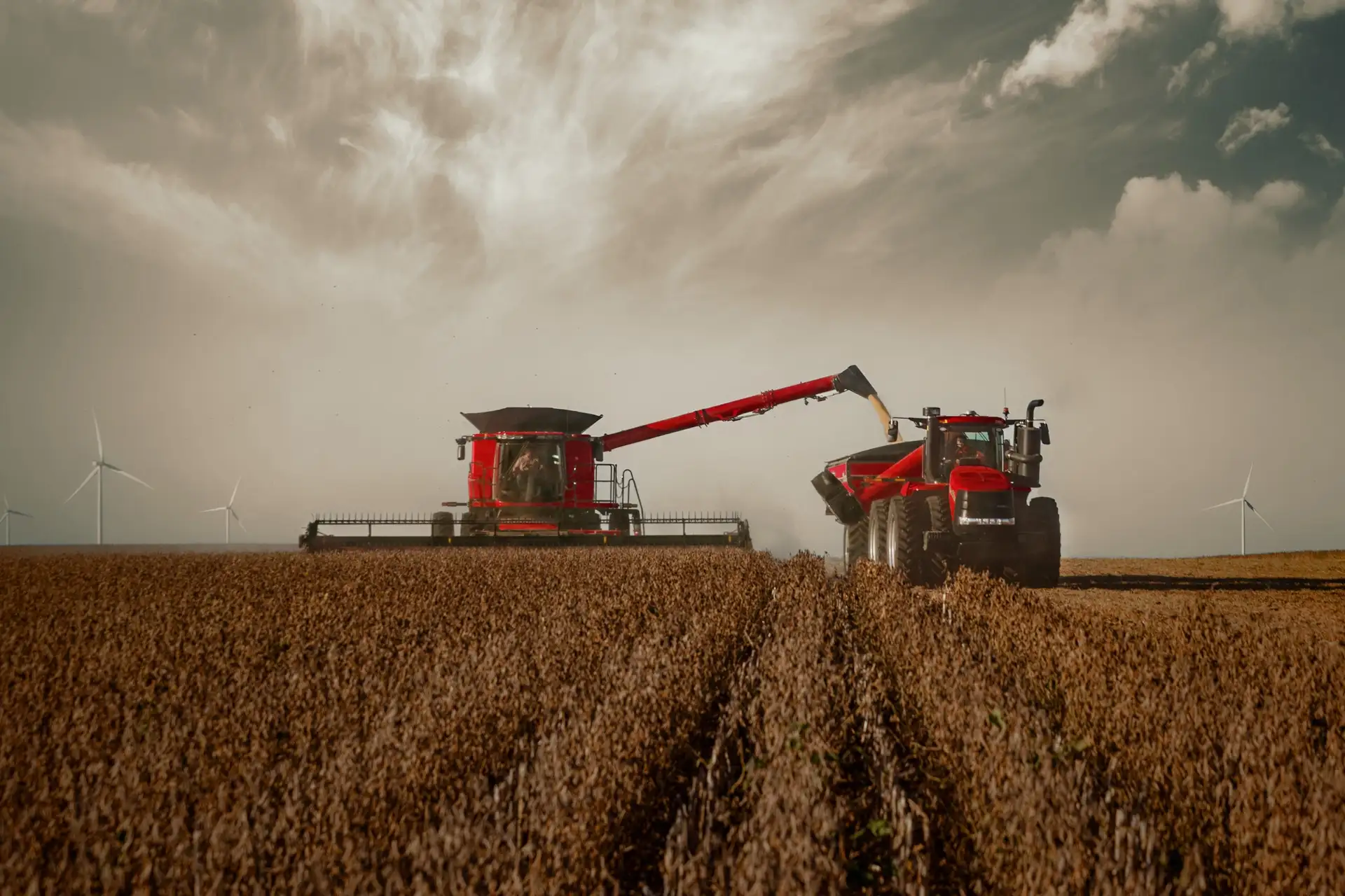 Case IH Tractor and Combine in field.