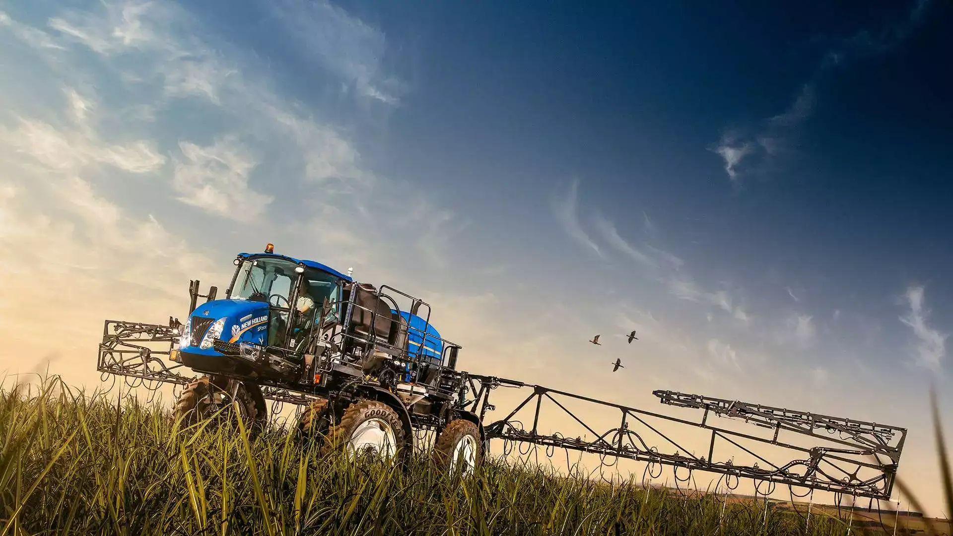 pulverizadores-new holland modelo defensor 2500 cana de açúcar em campo com pássaros no fundo
