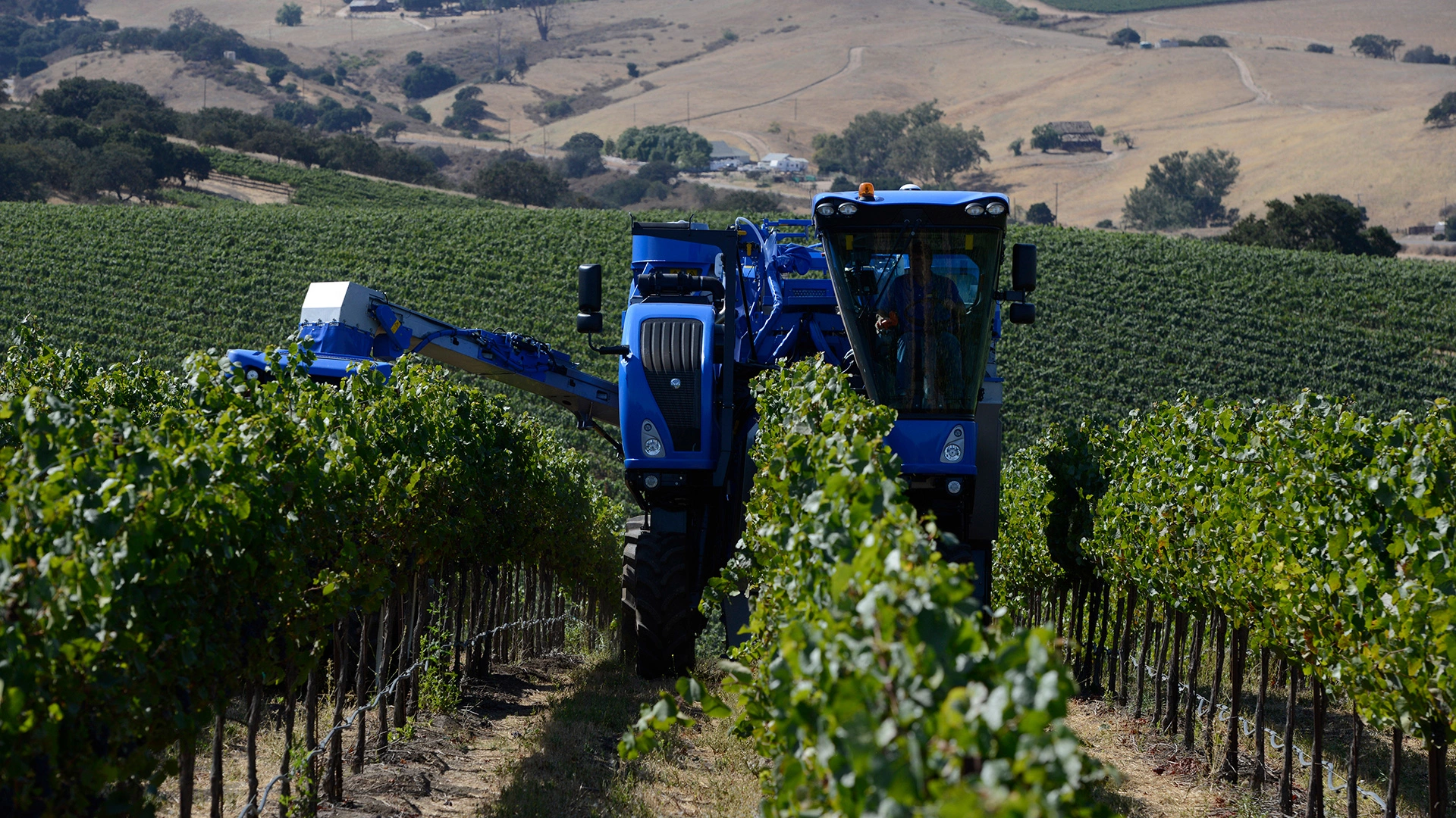 Braud 9090X Grape Harvesting Machine on the field