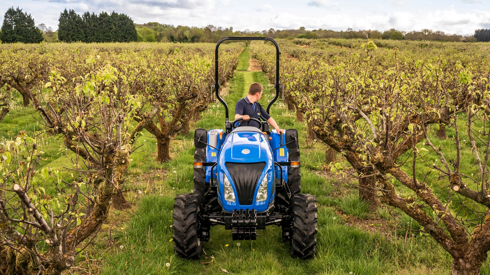 New Holland Boomer tractor performing duties on a orchard field