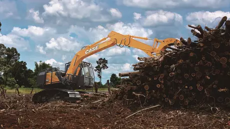 รถขุดตีนตะขาบ C - CX130C Forestry