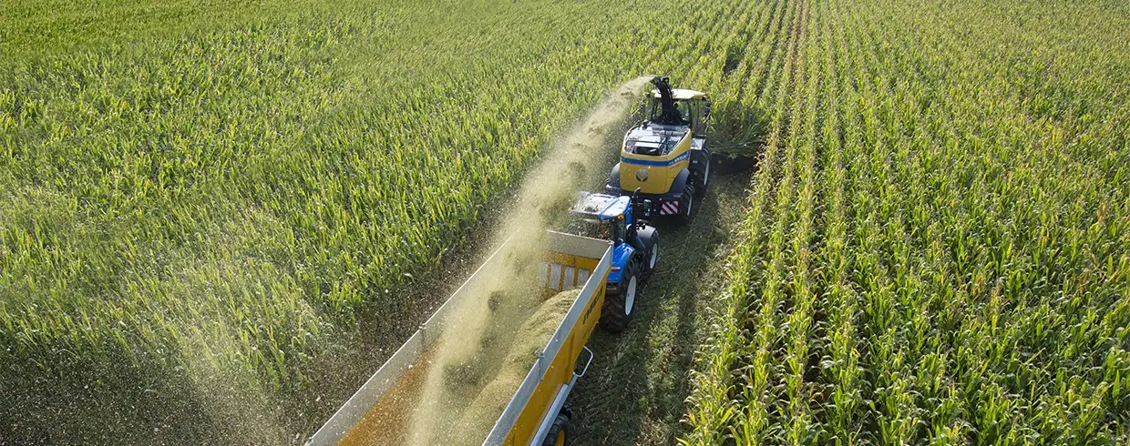 fr-forage-cruiser-feeding-and-chopping-01b