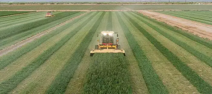 speedrower-plus-sp-plm-01