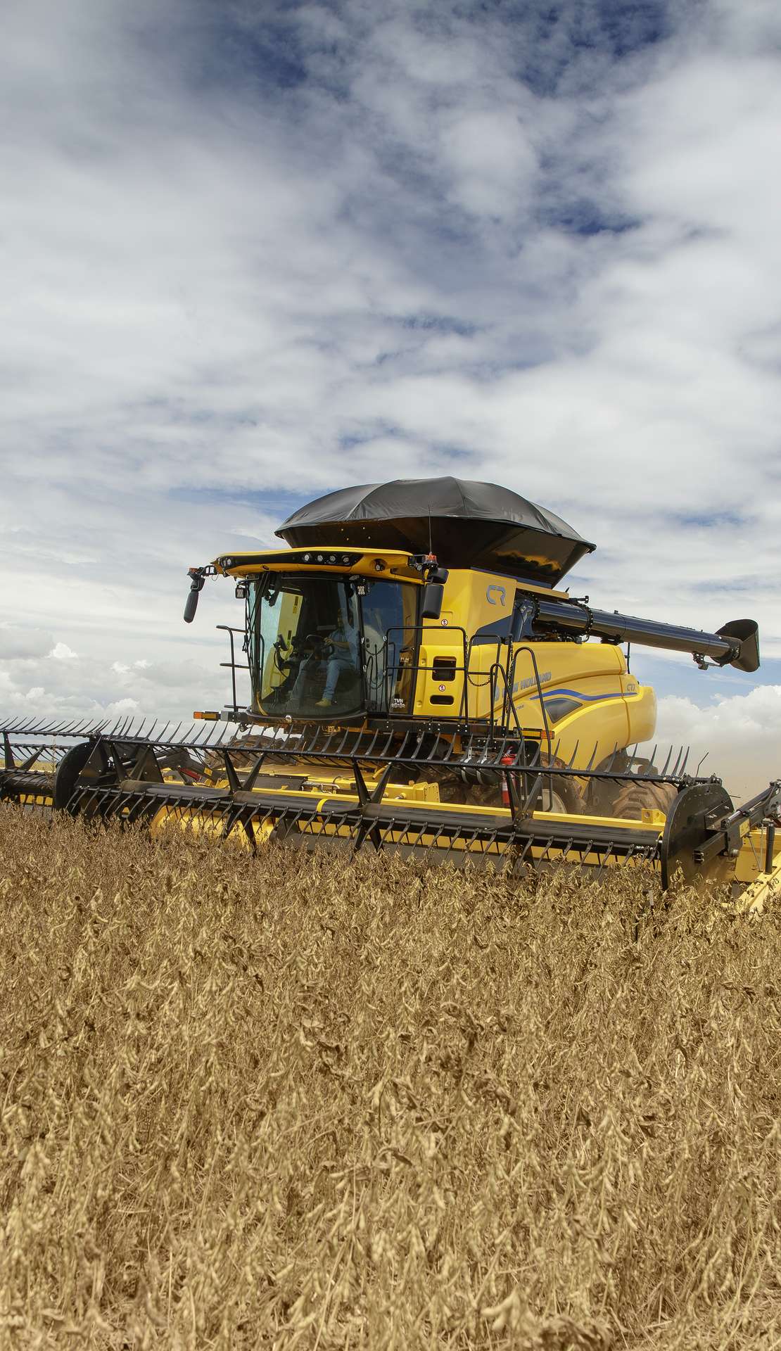 galeria retail cr7 2.jpg