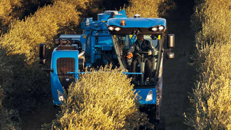 Olive Harvester: Braud 9090X