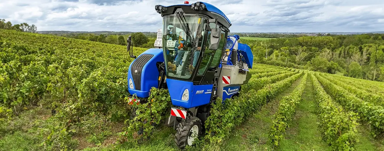 BRAUD DNA: GRAPE EXPERTISE IS IN OUR GENES