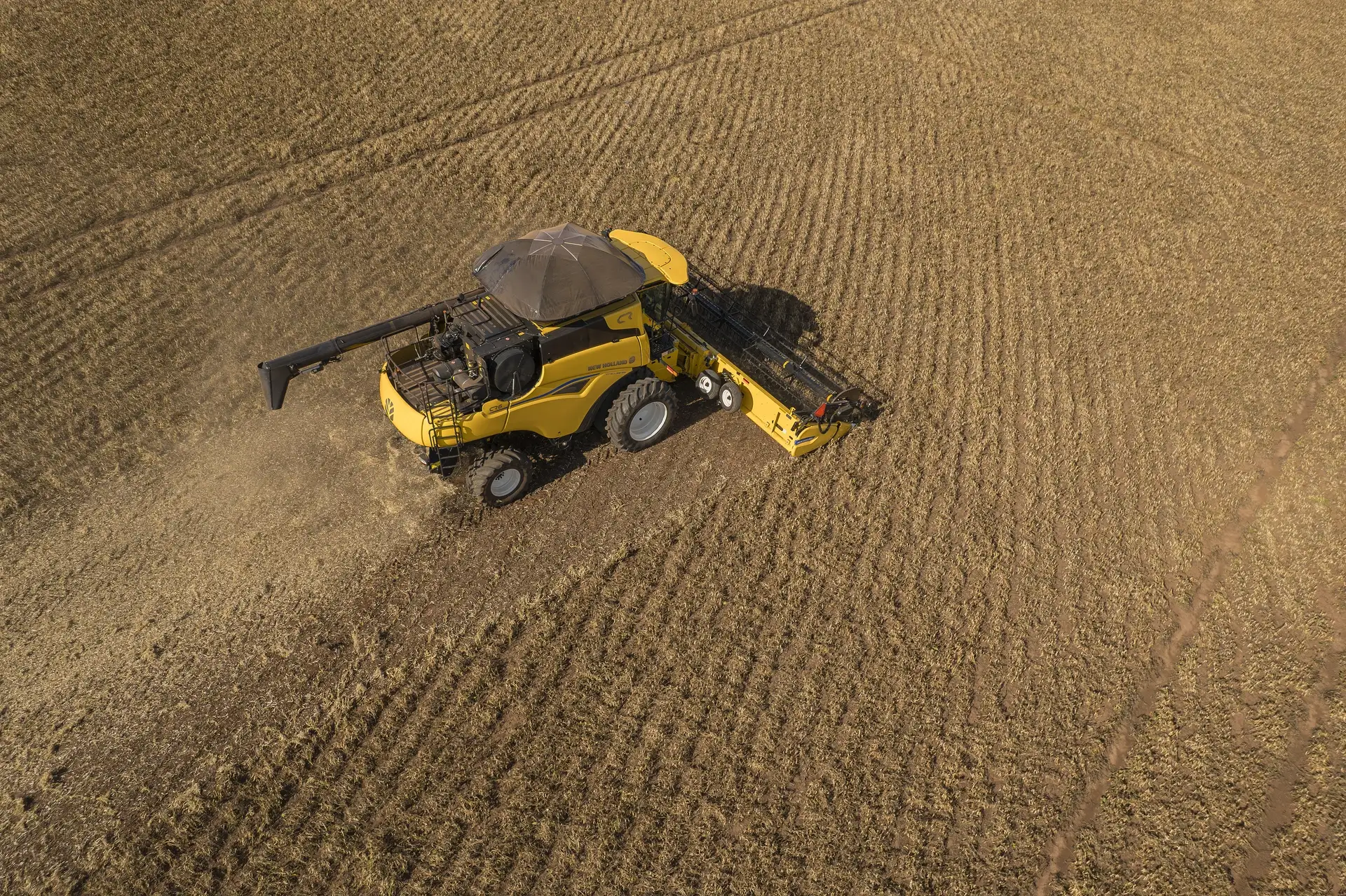 DJI_0143-Enhanced-NR.jpg