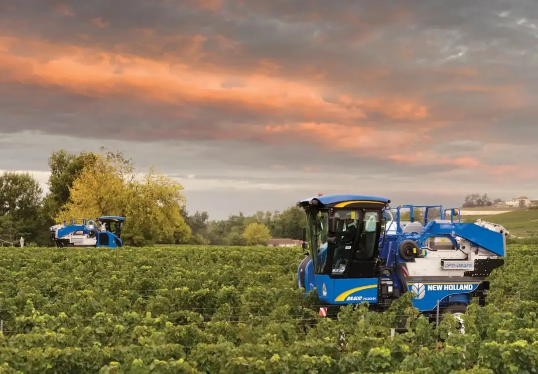 Explore Grape Harvesters | New Holland
