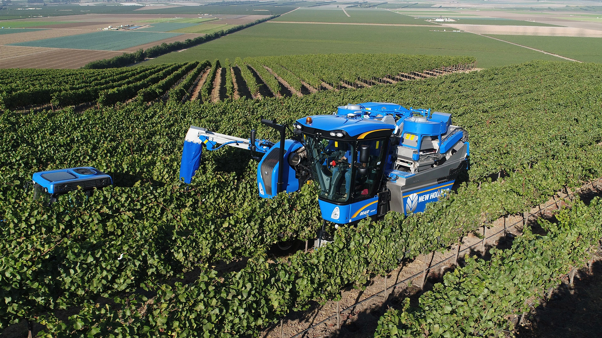 BRAUD 9090X Grape Harvester working on the field