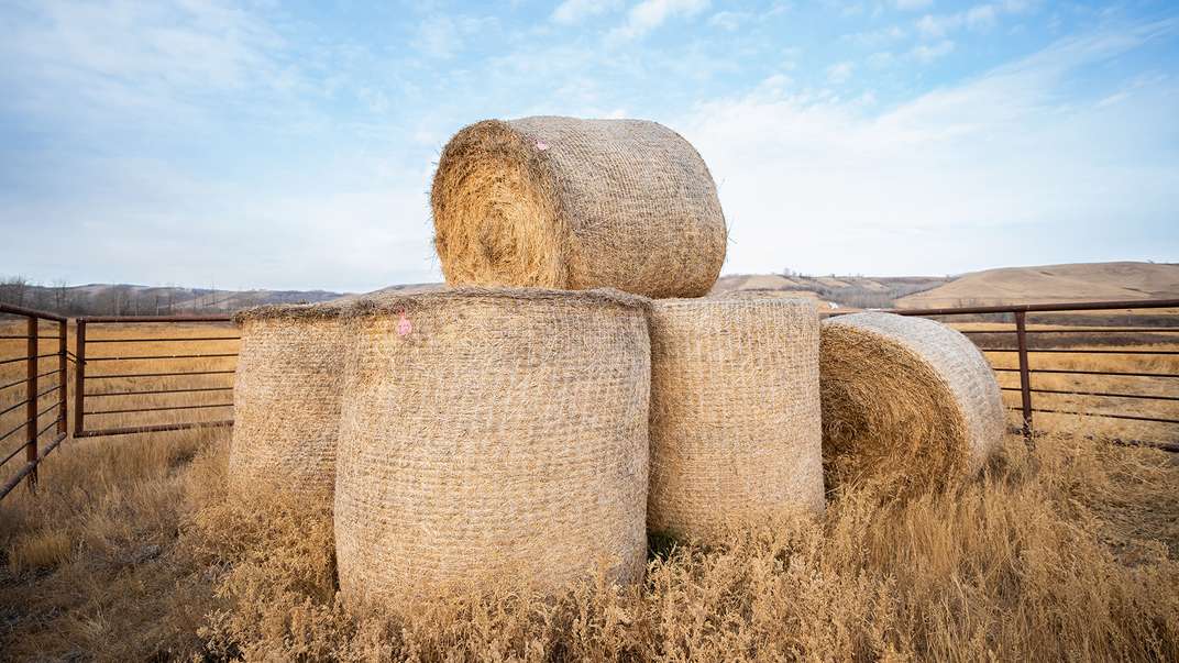 Roll-Belt™ 180 PLUS und 150 PLUS: neue variable Rundballenpressen mit klarem Fokus auf fortschrittliche Telemetrieoptionen, Konnektivität und Langlebigkeit - sowie das neue Nature's Net Wrap, einem kompostierbaren Ballennetz