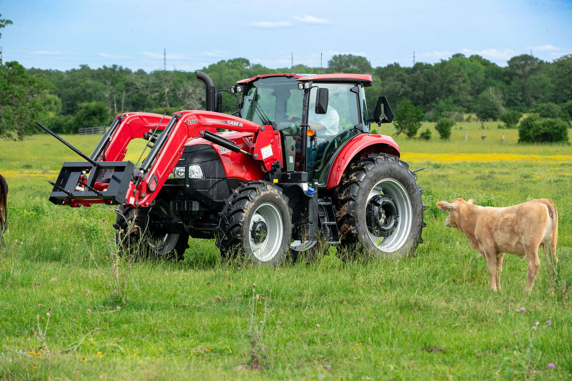 A Case IH tractor is parked in a lush green field with wildflowers. A tan calf stands nearby. 